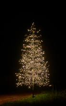 Juletre 1120 Micro-LED m/blink H150 cm